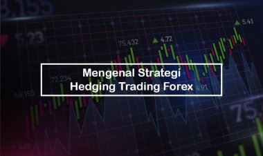 Mengenal Strategi Hedge Forex