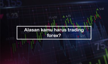 Alasan kamu harus trading forex?